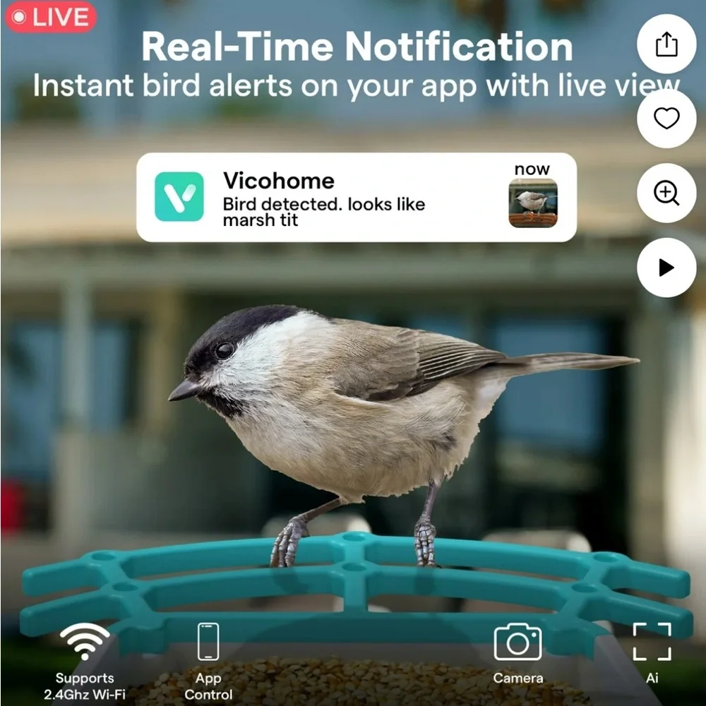 Solar-Powered Bird Feeder with Camera - Orange